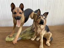 Sitting German Shepherd