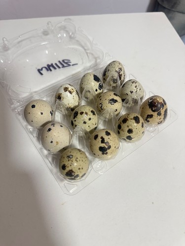 Fresh quail eggs - fresh, of