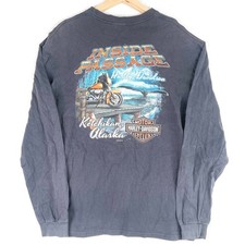 Harley Davidson Motorcycle