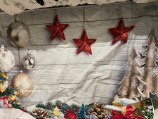 Christmas Photographic Back Drop -8×6Ft Christmas Holly Backdrop