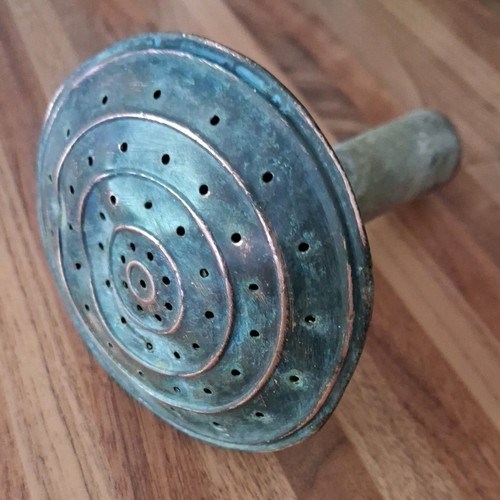 Vintage watering can rose