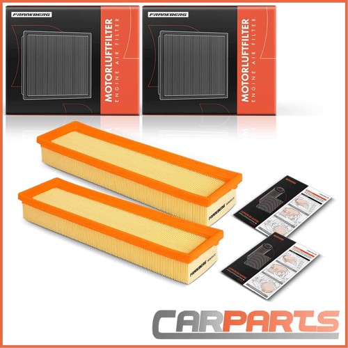 Air filter insert - 2x,
