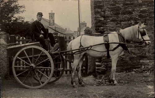Horse drawn wagon man - horse,