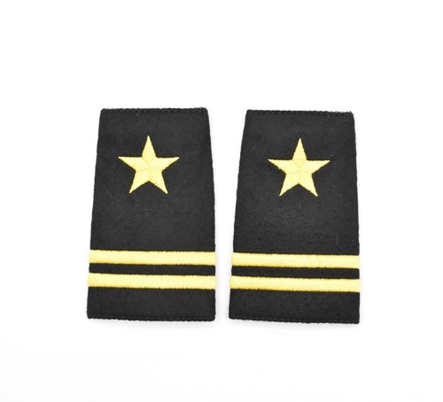 Gold star pilot - star,