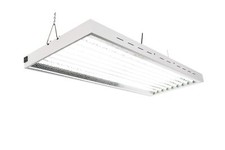 4Ft X 24In 8 Lamps 400W T5
