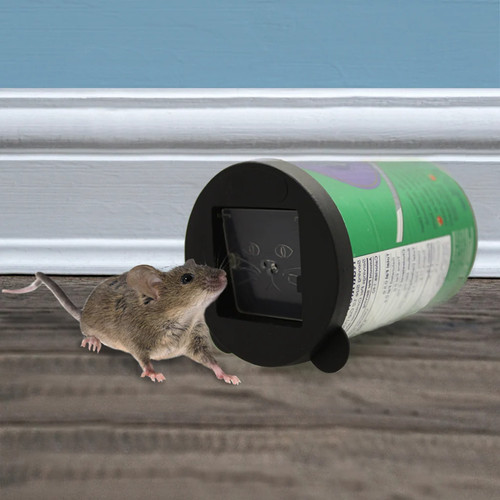 Cat can mouse traps pack - 2, –