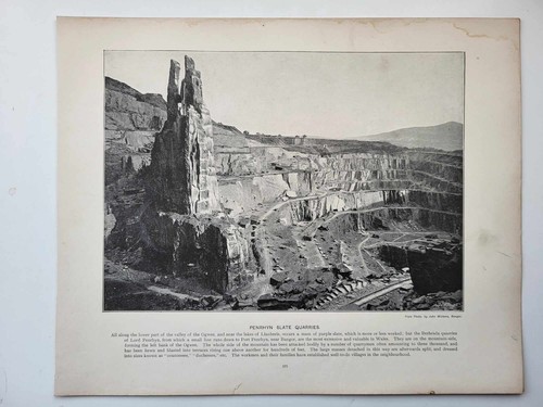 Old antique print - antique, 1890's