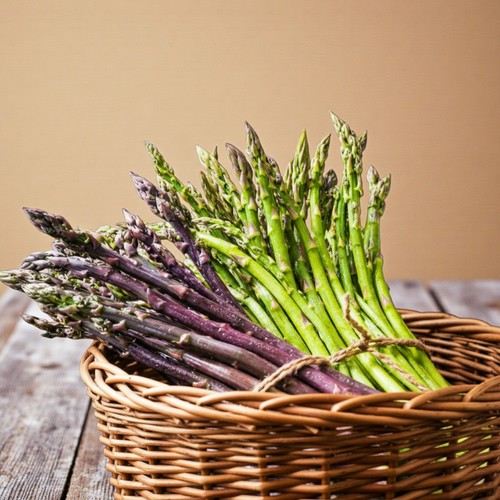 Asparagus crown roots for - roots,