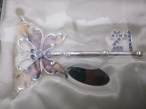 21st birthday silver brass - birthday,