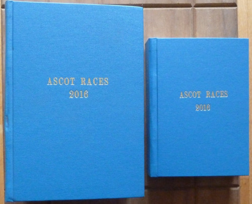 Scarce ascot race - race, in