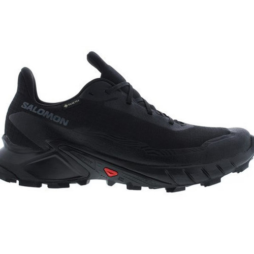 Salomon alphacross gtx gore - alphacross,