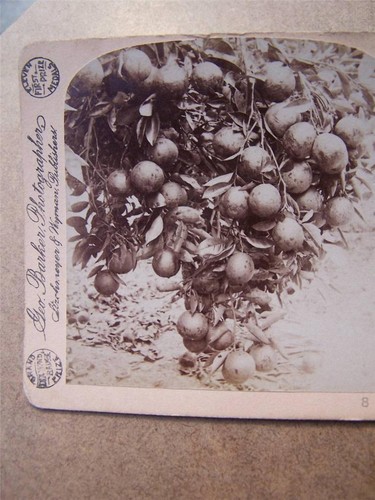 Stereoscope stereo view - stereoscope,