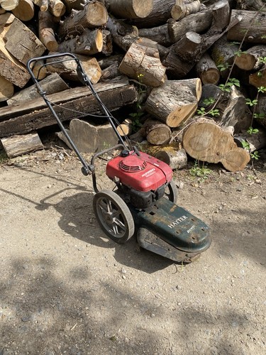 Hayter pedestrian strimmer - pedestrian,