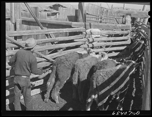 Beaverhead county montana - county,