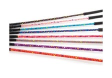 HySCHOOL Silver Riding Whip