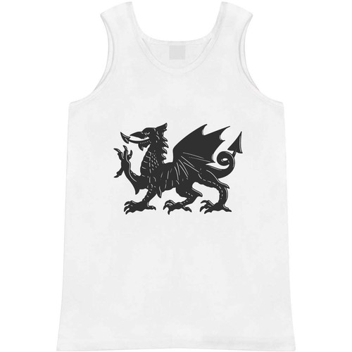 Welsh dragon adult - dragon',