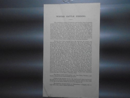 1898 winter cattle feeding - 1898,