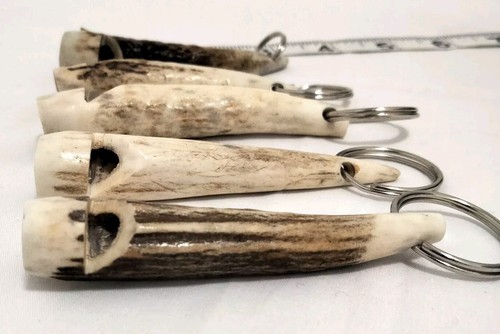 Scottish highland stag horn - scottish,
