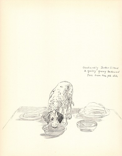 1935 antique dalmatian print - dalmatian, k