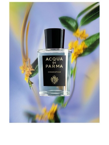 Acqua parma osmanthus - acqua, di