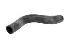For thermotec dww131tt - for,