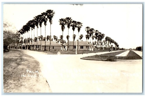 C1930 palm grove lower rio - palm,