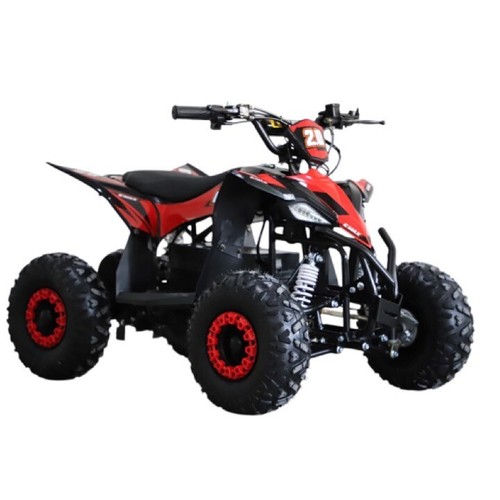 Quad bike electric 1500w - bike,