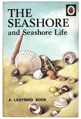 The seashore and - seashore,