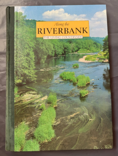 Along the riverbank - the,