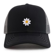 Kalimeris Flower Patch 2 Tone