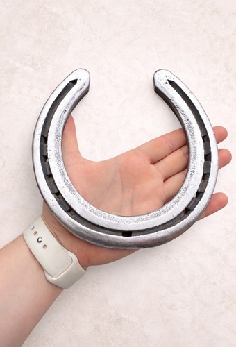 Lucky horseshoe gift real - |,
