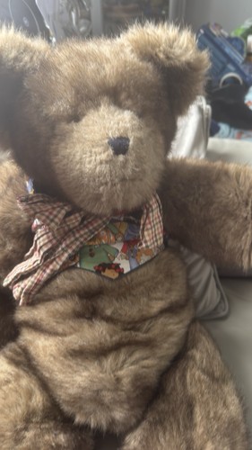 Extra large boyd bear - extra,