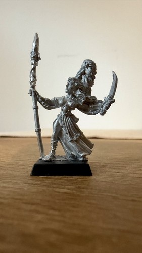 Wood elves sorceress - elves, foot