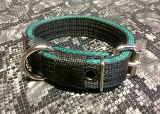 DC3 Webbing Dog Collar