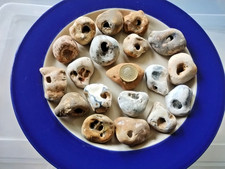 20 x Natural Hag Stones