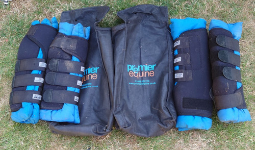 Four premier equine - (4),