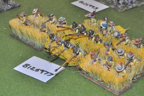 28mm ecw parliament - parliament, pike