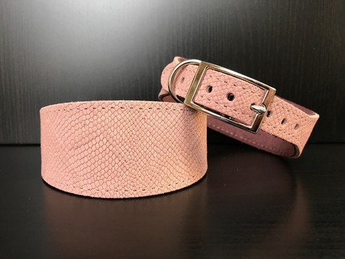 Medium leather dog - medium, collar