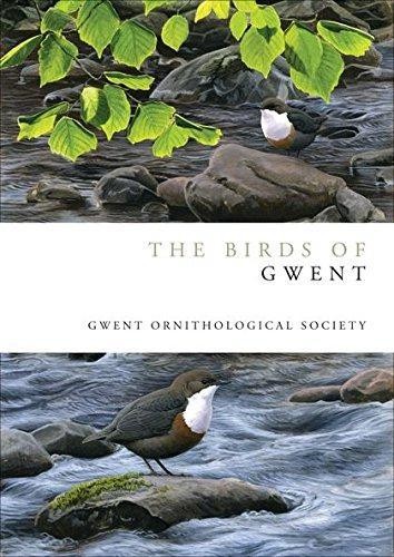 The birds gwent helm - of, (helm