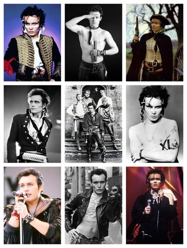 Adam ant poster - prints,
