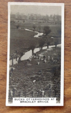 Wills - Homeland Events - Bucks Otterhounds at Brackley Bridge . Free UK Postage