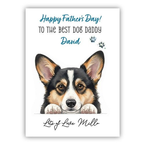 Cardigan welsh corgi - cardigan,