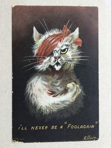 Ellam suffragette theme cat - ellam,