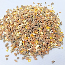 20Kg Country Small Holding Poultry Mix of Layers Pellets & Mixed Corn Chickens