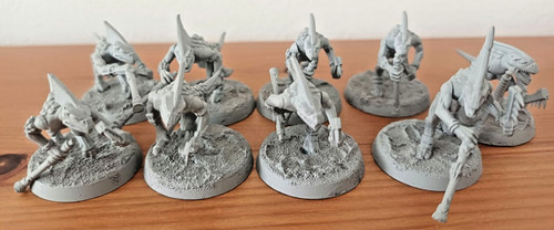 Skink warriors assembled - -,