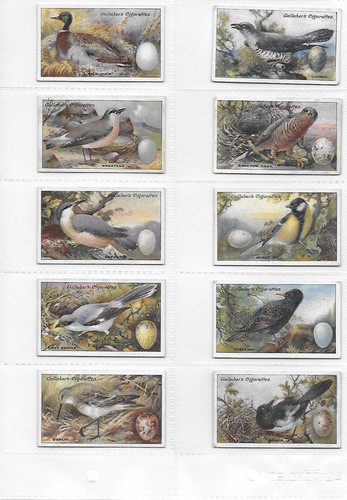 100 original 1919 - 14,
