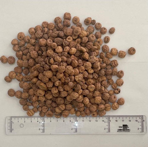 Standard tiger nuts for - standard,