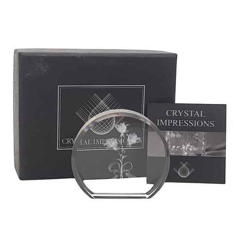 Crystal impressions laser art - impressions,