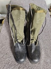 US Vietnam Era Spike