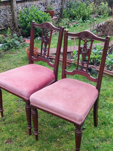 Edwardian dining chairs pair - dining,